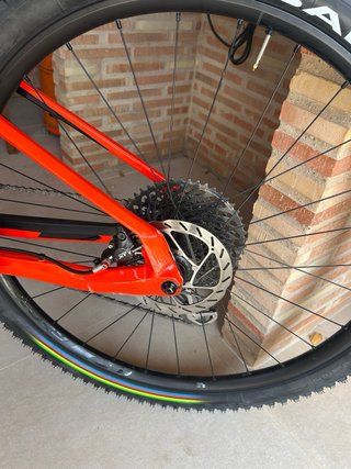 Orbea Oiz