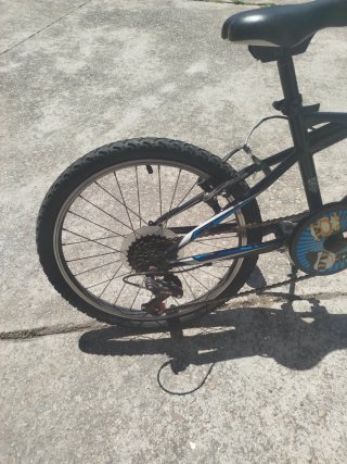 Bicicleta per bambini 20 pollici