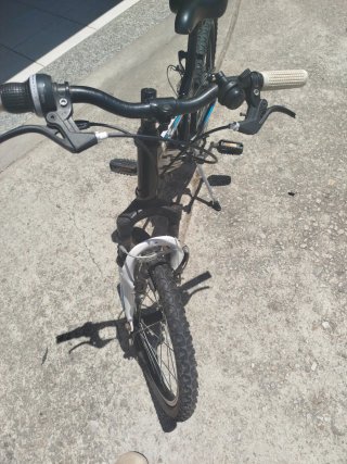 Bicicleta per bambini 20 pollici