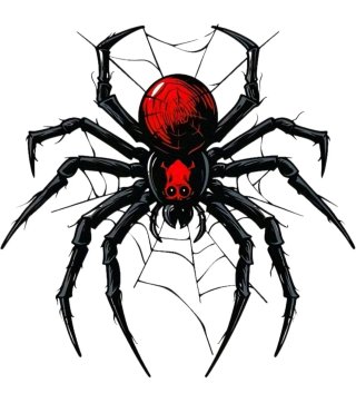 Adesivo Ragno Nero e Rosso