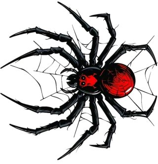 Adesivo Ragno Nero e Rosso