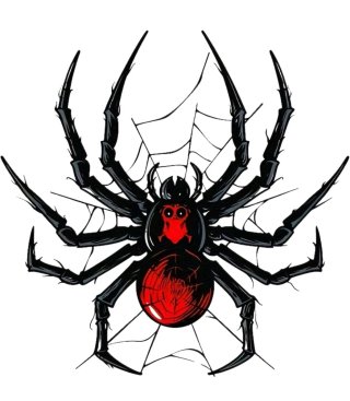 Adesivo Ragno Nero e Rosso