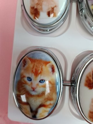 Scatolina porta pillole con cani e gatti