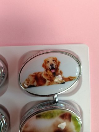 Scatolina porta pillole con cani e gatti