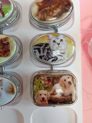 Scatolina porta pillole con cani e gatti