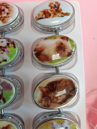 Scatolina porta pillole con cani e gatti