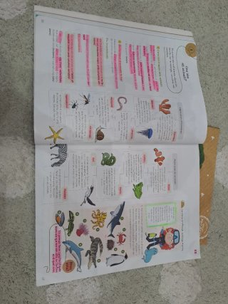Coneixement del medi 4 Primària C. Valenciana