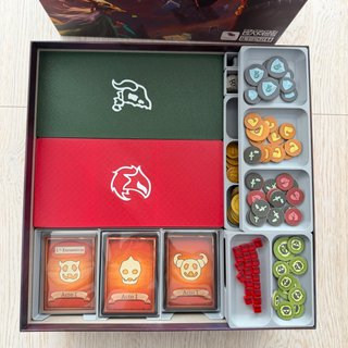 Inserto Organizador Slay The Spire