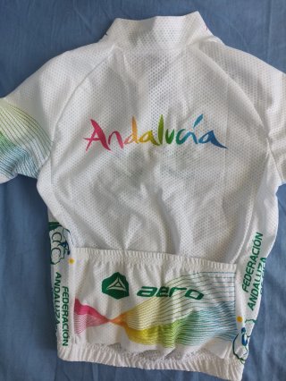 Maillot Ciclista Niña Talla 10