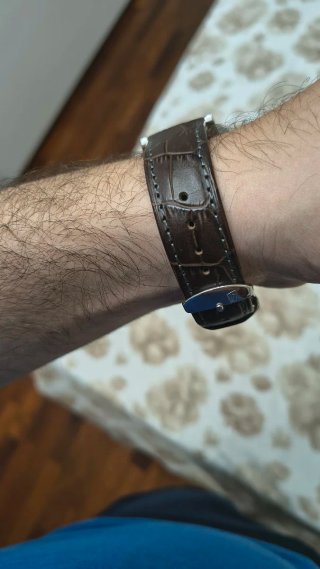 Orologio Festina Uomo Argento e Marrone