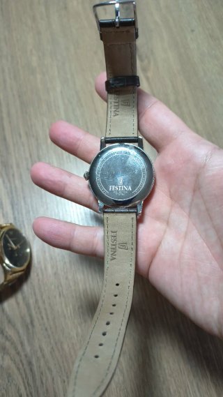 Orologio Festina Uomo Argento e Marrone