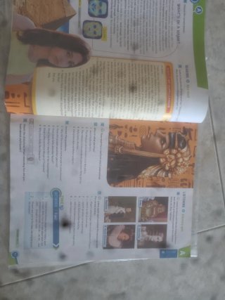 Network 2 Eso Alumno