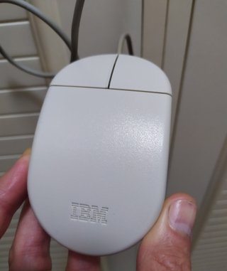 IBM PC 340 + Monitor IBM G40