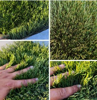 Césped artificial alta calidad | varios modelos