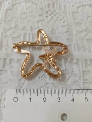 Spilla a forma di stella con strass