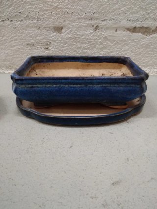 Maceta Bonsai Cerámica Azul y Beige