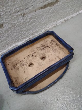 Maceta Bonsai Cerámica Azul y Beige
