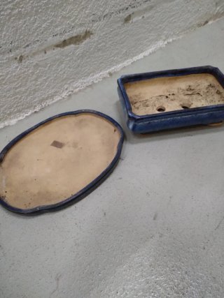 Maceta Bonsai Cerámica Azul y Beige