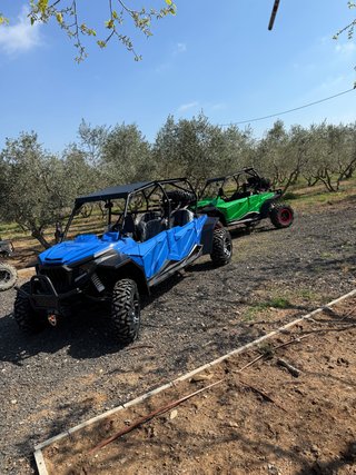 Buggy UTV 4 Plazas Varanus ZQ800-4  - NUEVO -