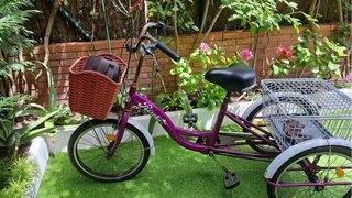 Triciclo Morado con Cesta Delantera y Trasera