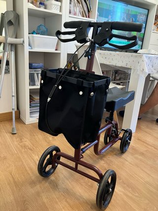 Patinete Andador Ortopédico con Cesta