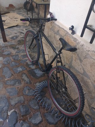 Bicicleta negra