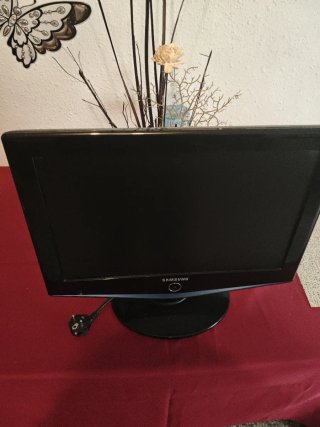 Samsung TV 19 Usada le doy 3 días
