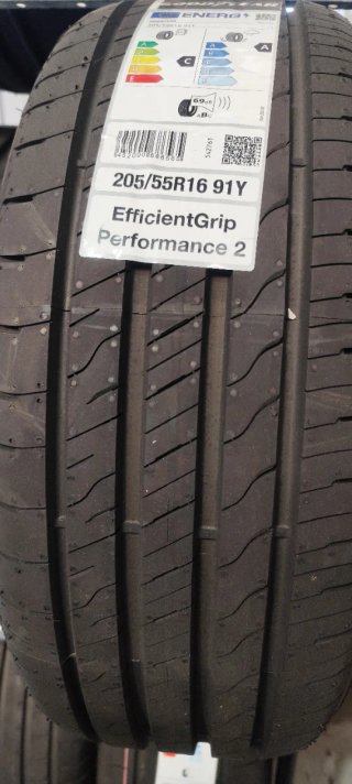 2 Neumáticos Goodyear 205/55R16 91Y EfficientGrip