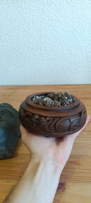 Cabeza Buda Gandhara