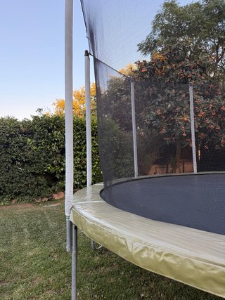 Cama elástica Domyos Essential 420