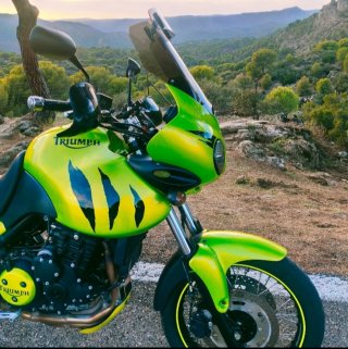 Triumph Tiger 955i Verde