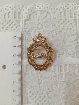 Spilla Cameo Dorata con Strass