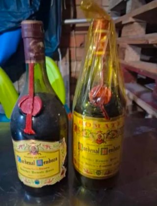Botellas Cardenal Mendoza