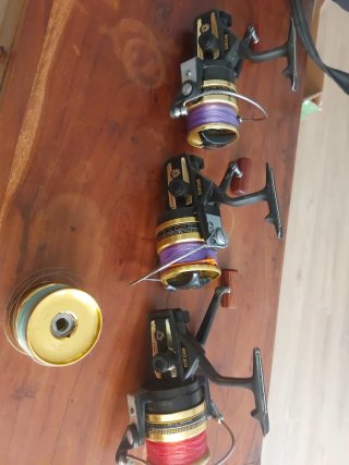 Carretes Daiwa BG20 y BG30