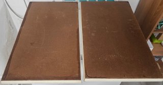 Vintage Cornici Farfalle Vere
