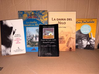 Lote 5 libros variados — 8 €
