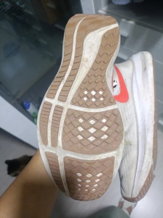Zapatillas Nike Pegasus 15