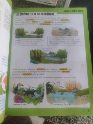 Proyecto: FanFest. Ciencias de la Naturaleza