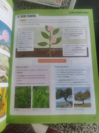 Proyecto: FanFest. Ciencias de la Naturaleza