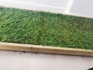 Cama Perros o Gatos Césped Natural Premium XL