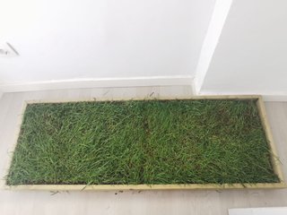 Cama Perros o Gatos Césped Natural Premium XL