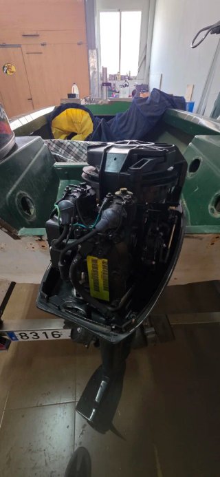 Motor fueraborda Mercury 15cv 2T