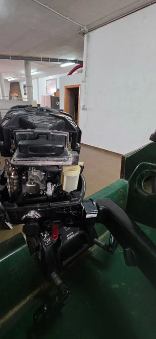 Motor fueraborda Mercury 15cv 2T