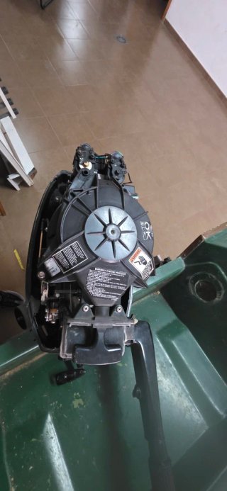 Motor fueraborda Mercury 15cv 2T