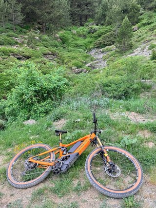 Orbea Wild LTD Carbon EMTB Doble