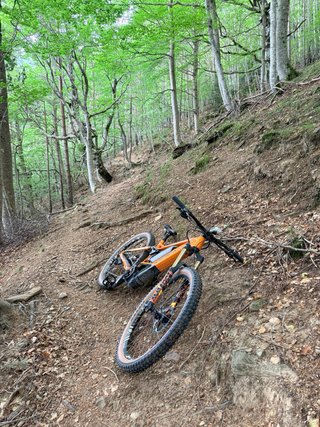 Orbea Wild LTD Carbon EMTB Doble