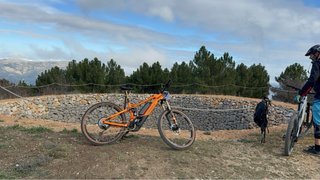 Orbea Wild LTD Carbon EMTB Doble