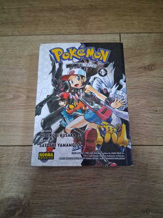 Pokémon Negro y Blanco