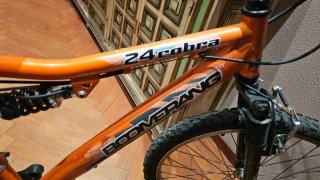 Bicicleta Boomerang 24 Cobra Naranja