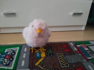 Pollito Rosa Peluche